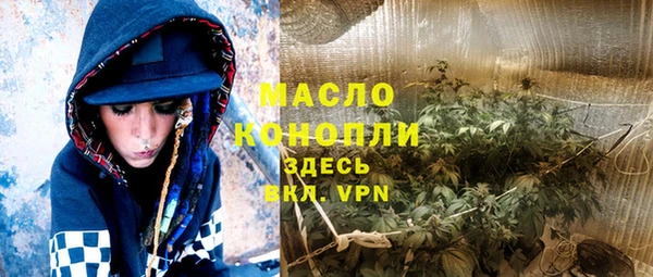 спиды Ельня