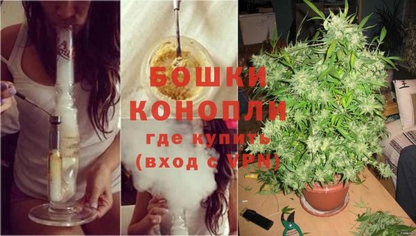 бошки Дмитриев
