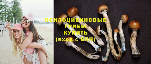 бошки Дмитриев
