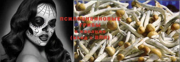 прущий лед Дмитровск