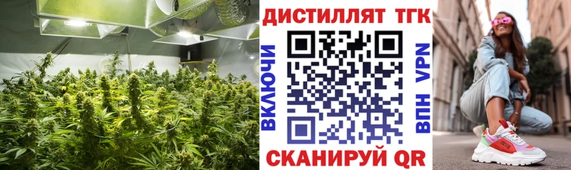 Дистиллят ТГК Wax  Купить  Изобильный 