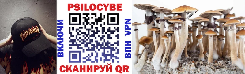 Псилоцибиновые грибы прущие грибы  Купить  Изобильный 