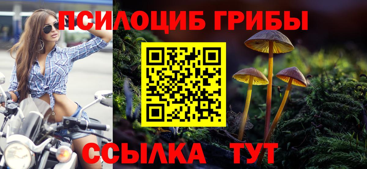 Псилоцибиновые грибы Psilocybine cubensis  где купить наркотик  Галлюциногенные грибы Psilocybine cubensis  Изобильный 