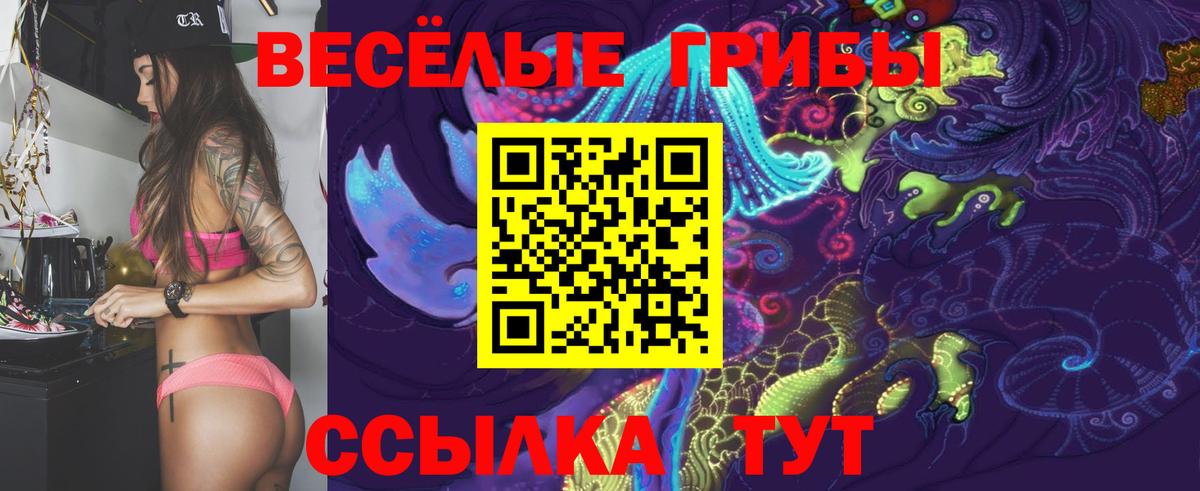 Псилоцибиновые грибы GOLDEN TEACHER Изобильный